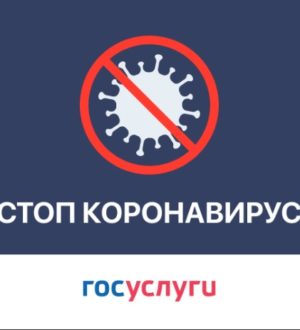 Как посмотреть результаты теста на коронавирус на Госуслугах?