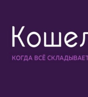 Как пользоваться приложением Кошелек на Андроид?