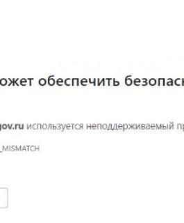 На сайте eruz.zakupki.gov.ru используется неподдерживаемый протокол, как исправить?